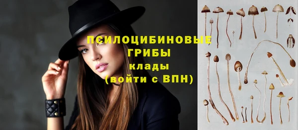 не бодяженный Каменск-Шахтинский