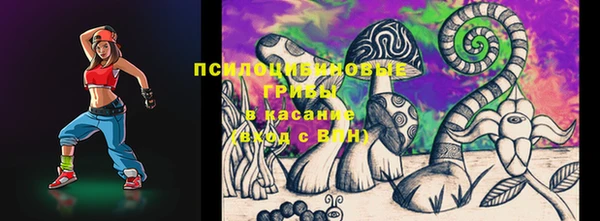 спайс Каменка