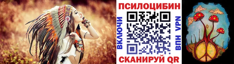 дарнет шоп  Пушкино  Псилоцибиновые грибы мицелий 